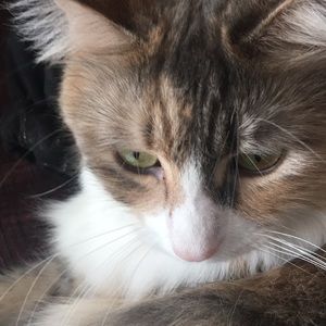 Meet your Posher, Brenda